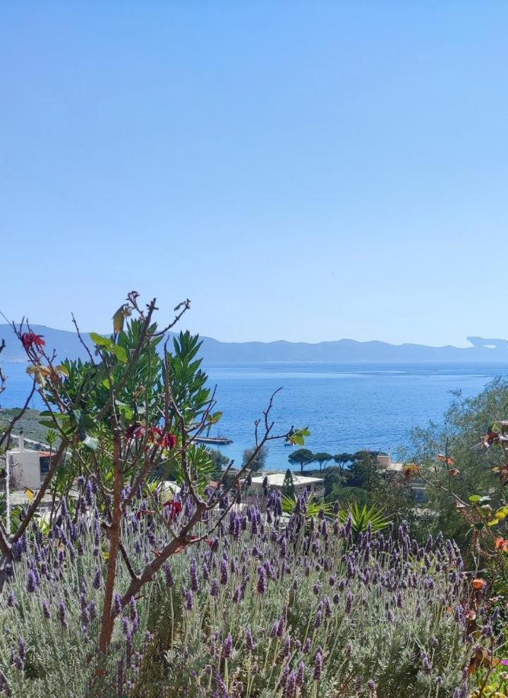 Tres Marias Βίλα Κερατέα Εξωτερικό φωτογραφία
